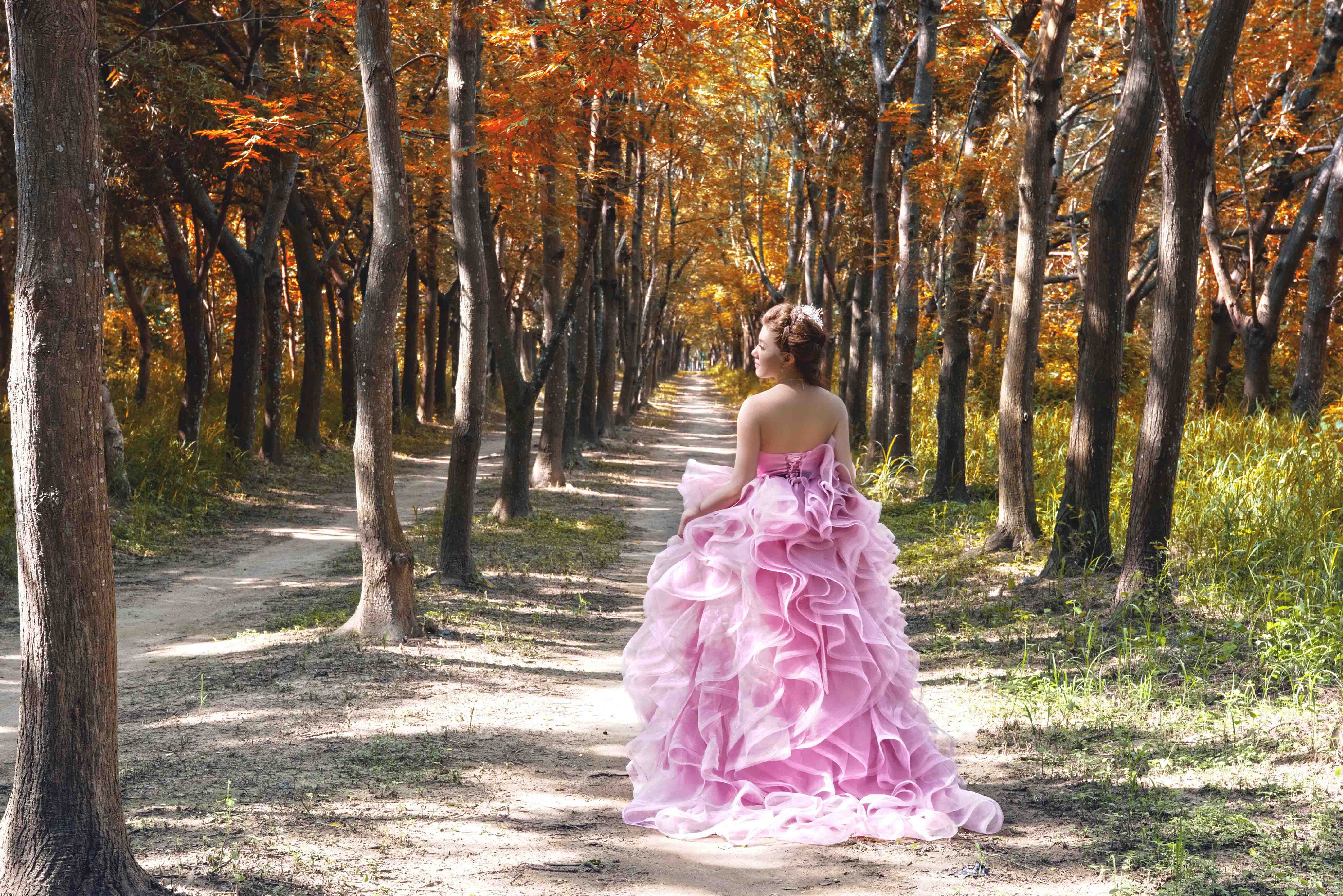 虎山森林婚紗的第1張圖片